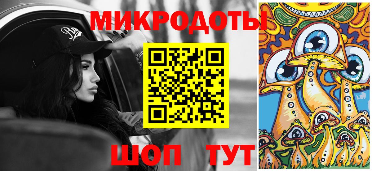 Псилоцибиновые грибы Psilocybe Кирово-Чепецк