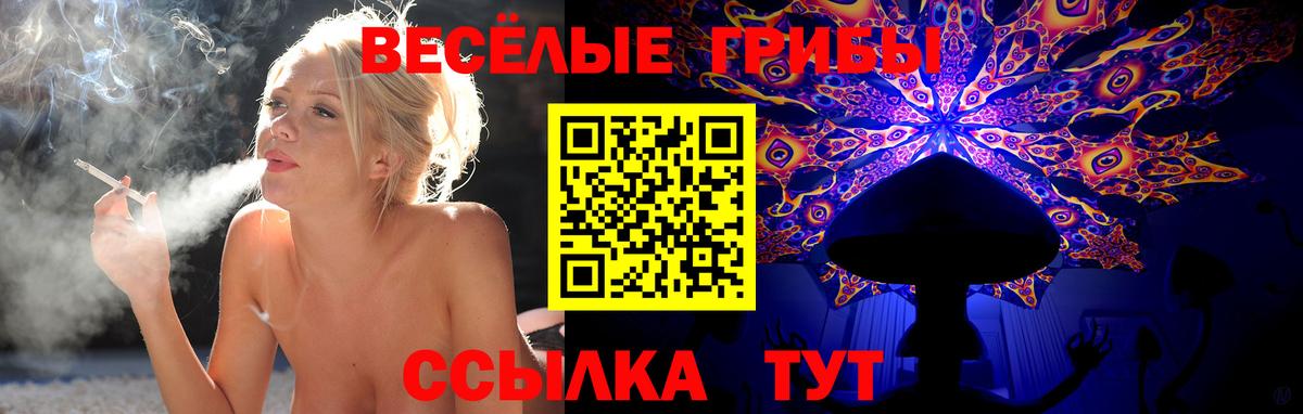 Кирово-Чепецк  Галлюциногенные грибы Magic Shrooms  Псилоцибиновые грибы Psilocybe  Вход с VPN 